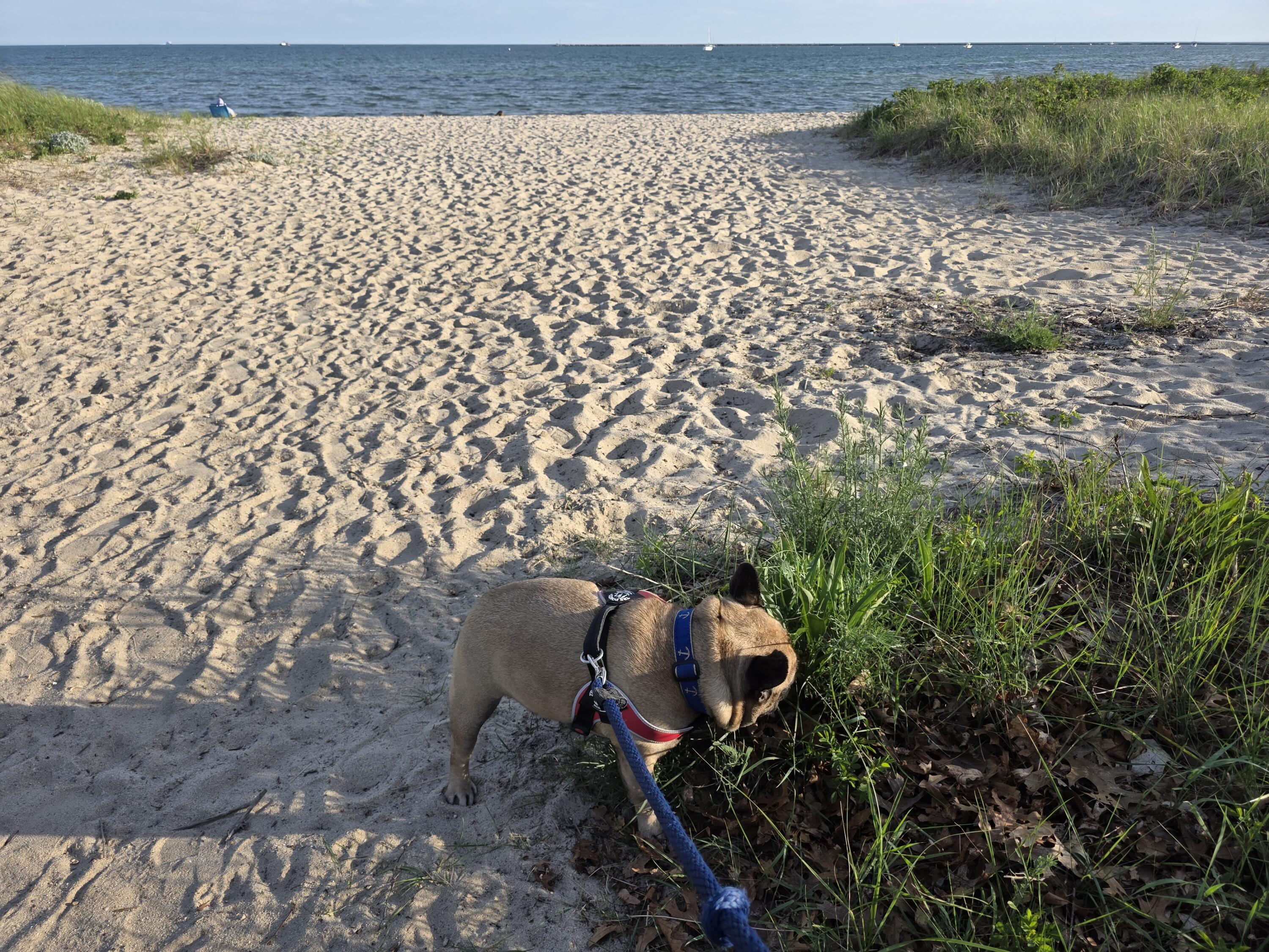800 Bearses Way Barnstable MA 02601