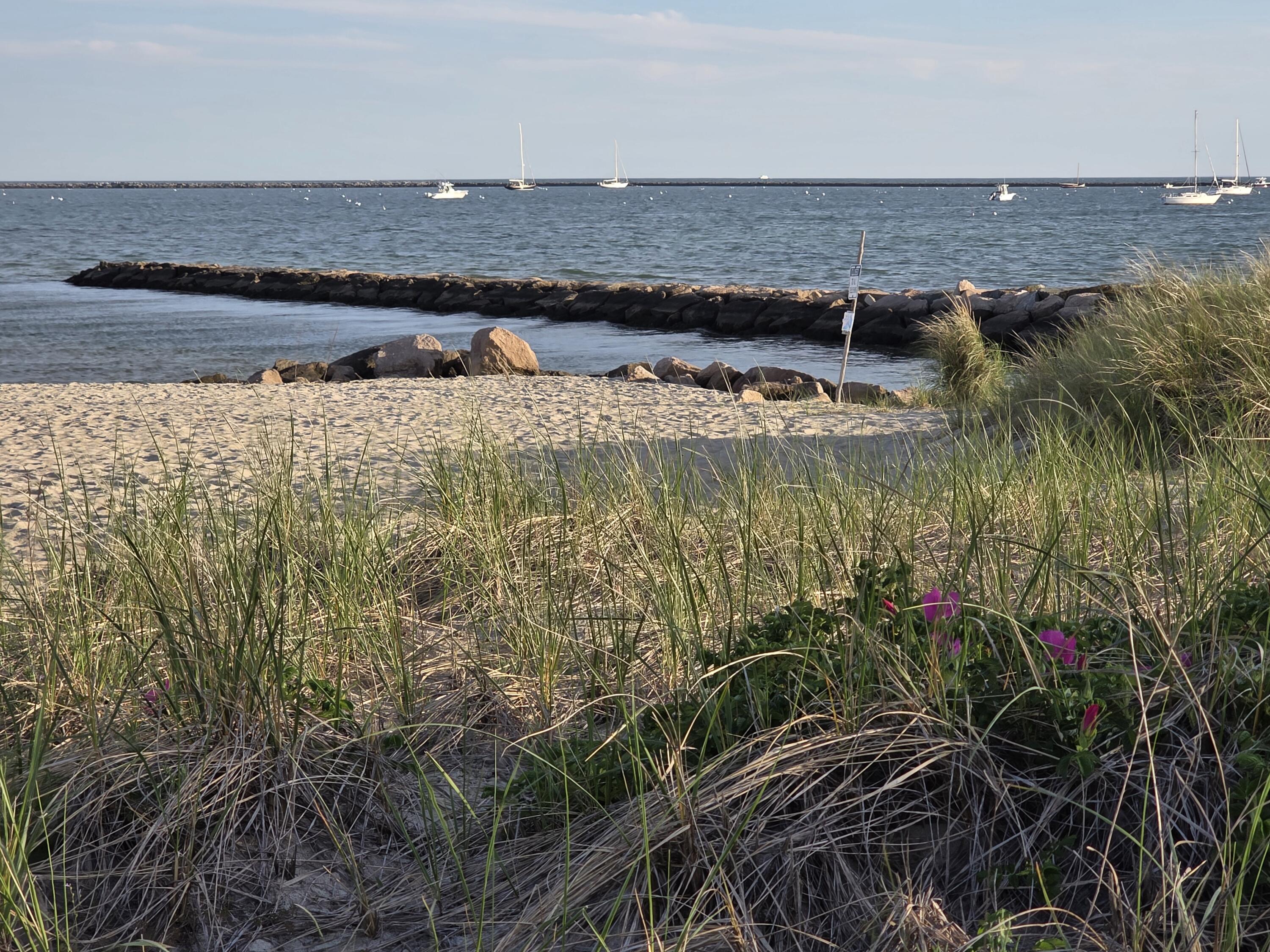 800 Bearses Way Hyannis MA 02601