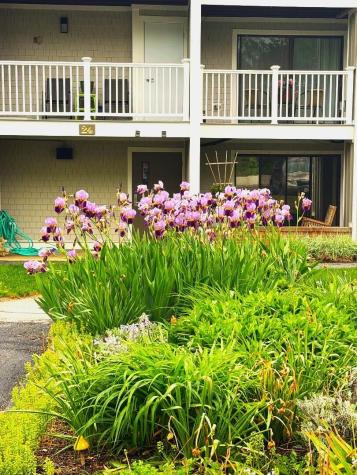24 Old Colony Way Orleans MA 02653