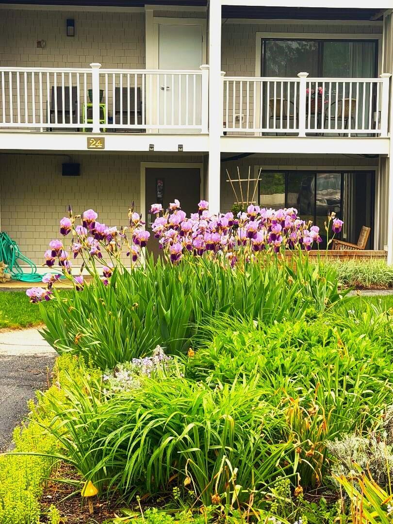 24 Old Colony Way Orleans MA 02653