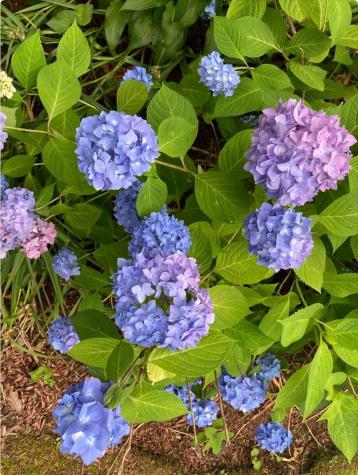 300 Falmouth Road Mashpee MA 02649