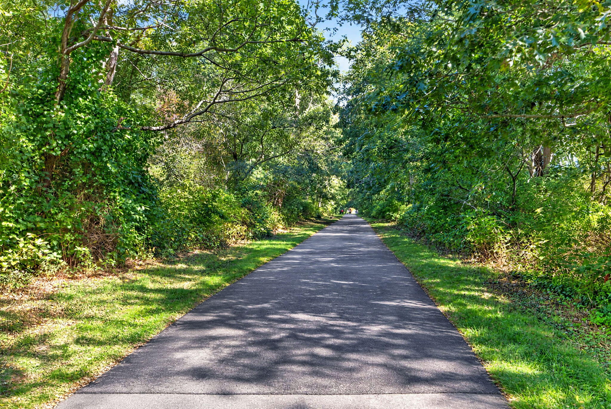 42 Old Colony Way Orleans MA 02653