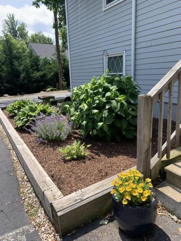 777 Route 6a Dennis MA 02638