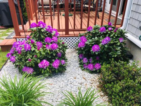 1 Hawthorne Court Bourne MA 02559