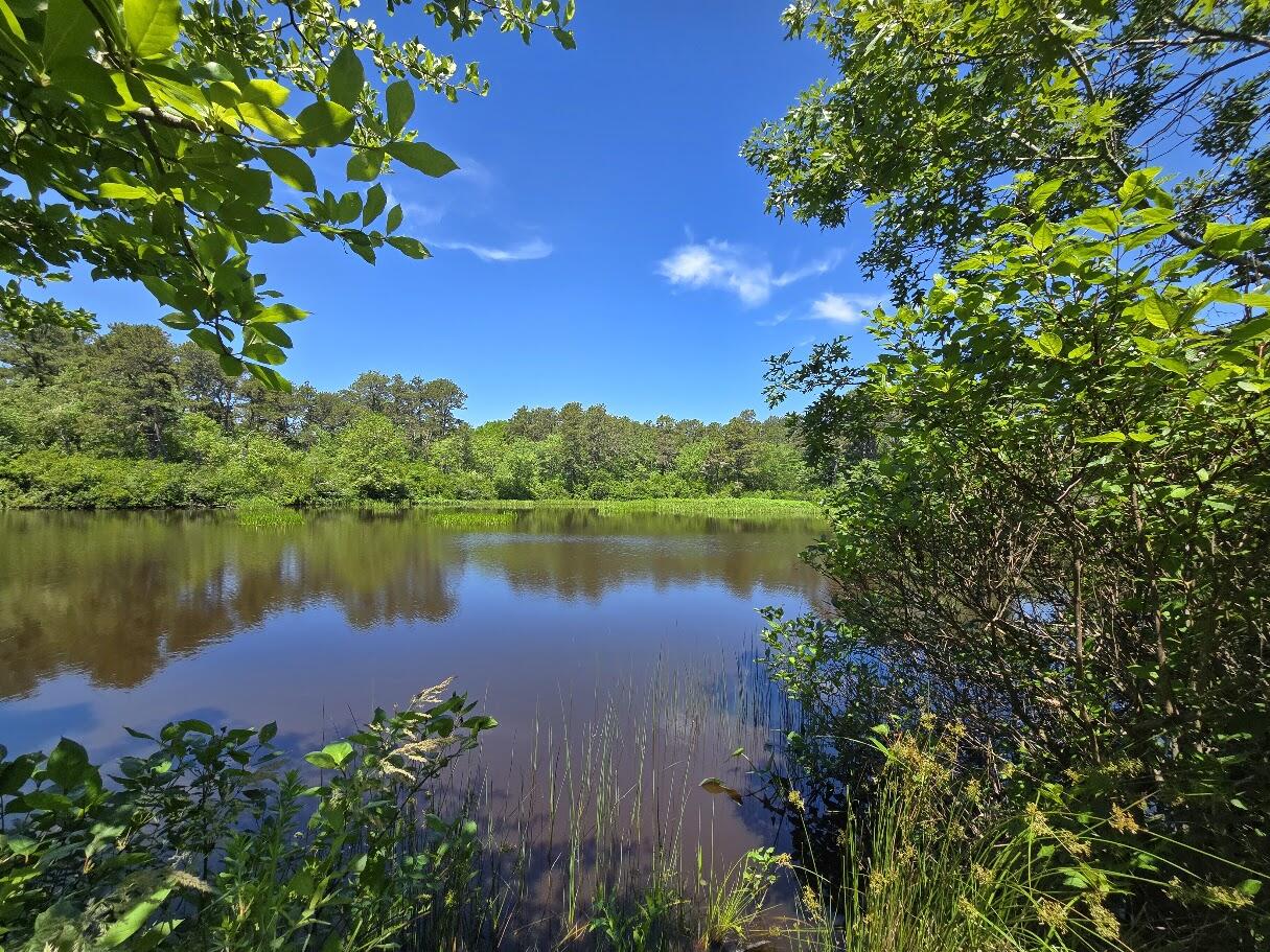 262 Old Wharf Road Dennis Port MA 02639