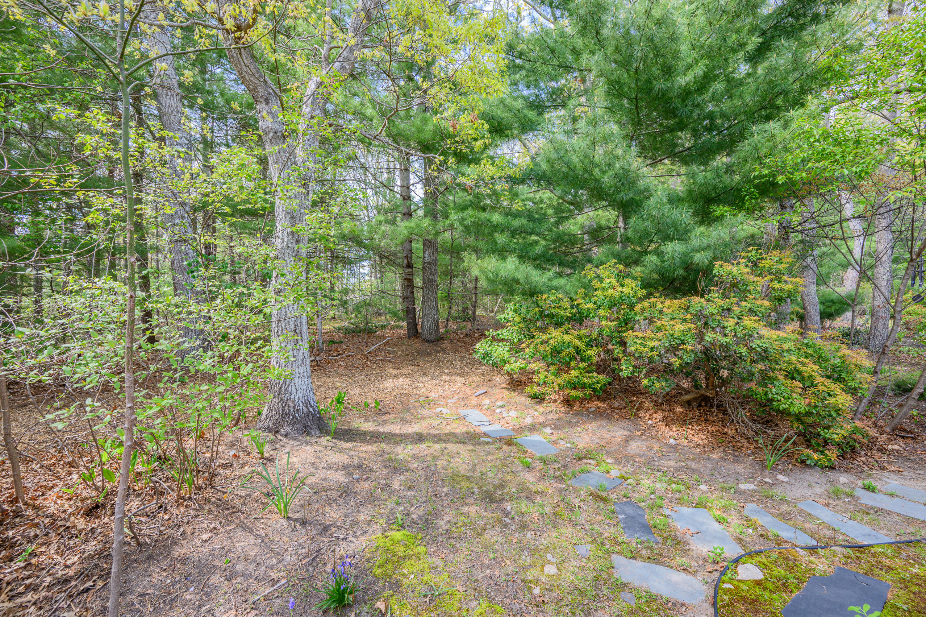 139 Strawberry Falmouth MA 02536