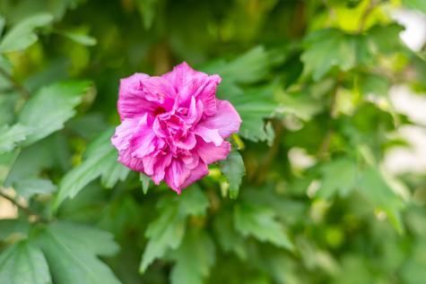 30 W Woods Circle Yarmouth MA 02675