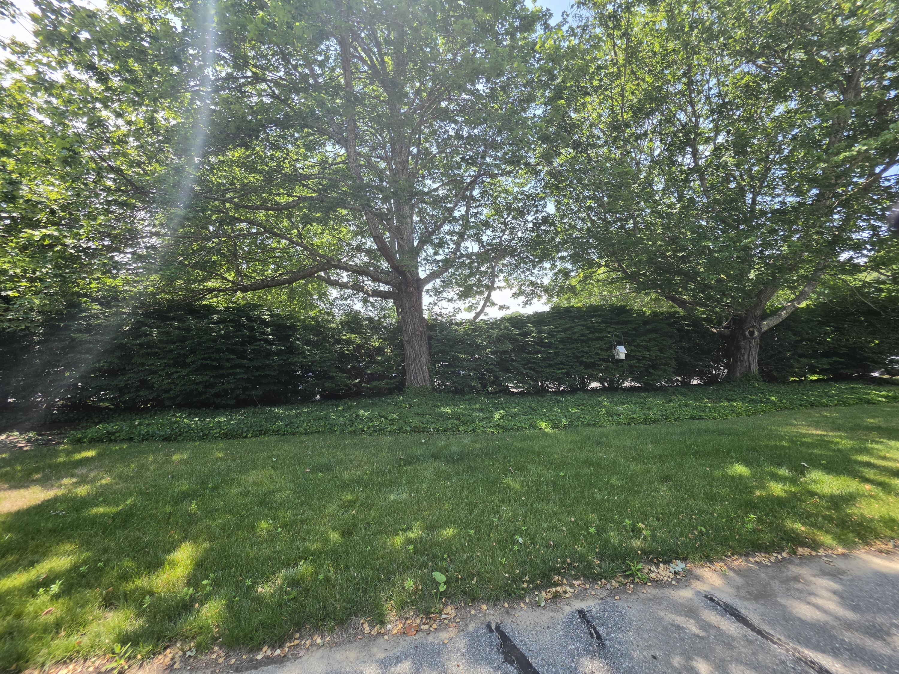 58 Old Colony Way Orleans MA 02653