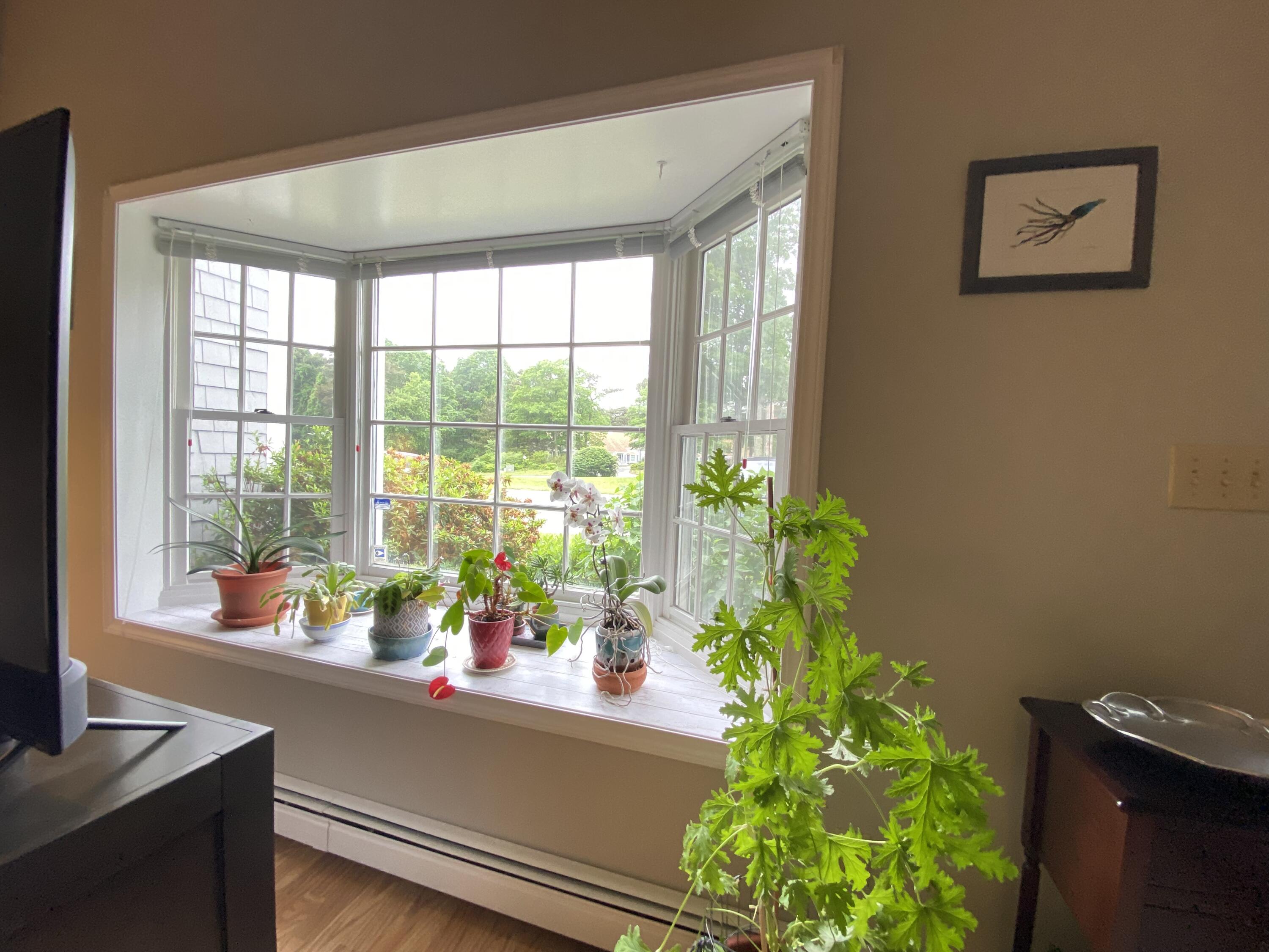 2 Browning Court Bourne MA 02559