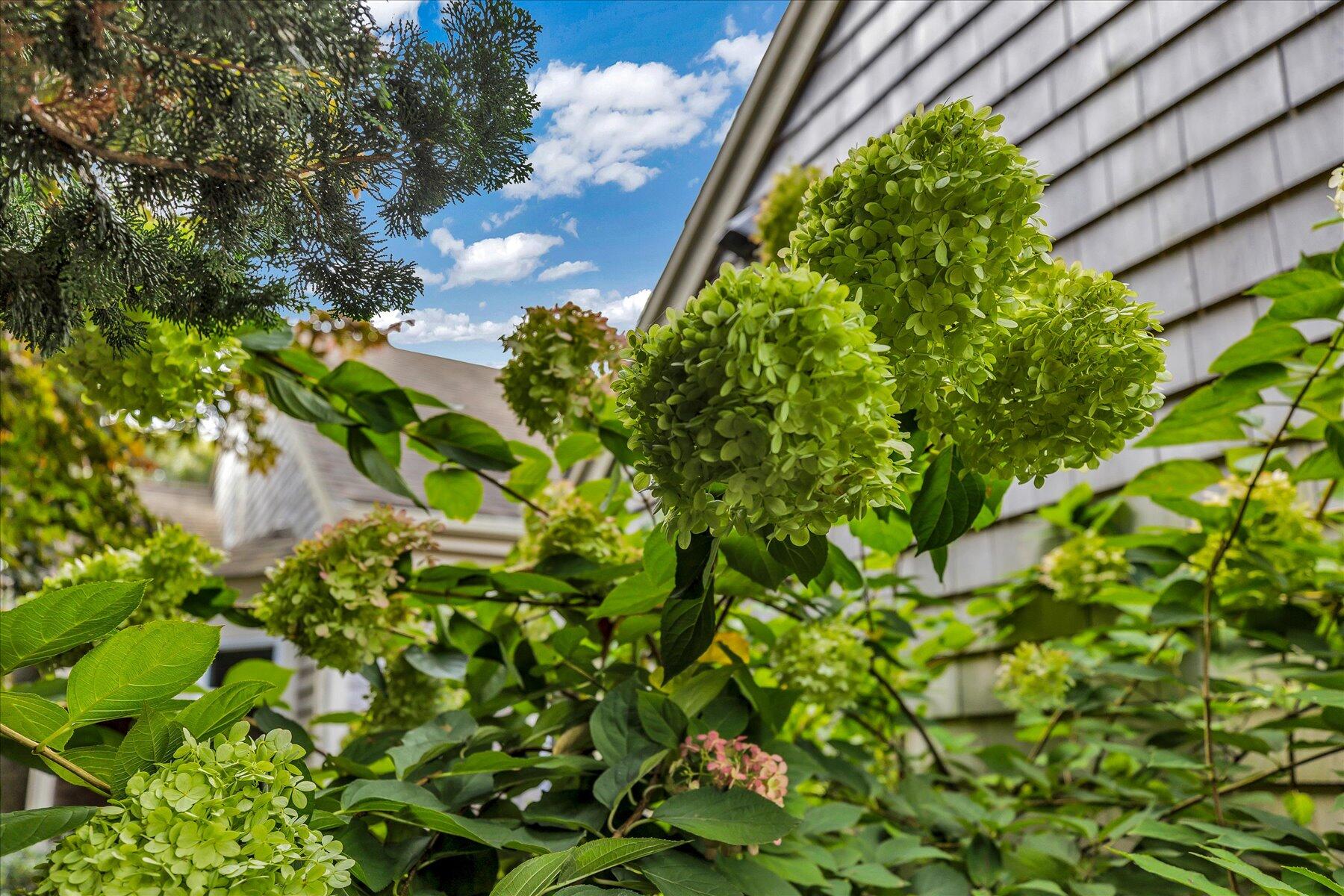 158 Kates Path Village Yarmouth MA 02675