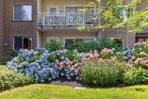 1 Belmont Road West Harwich MA 02671