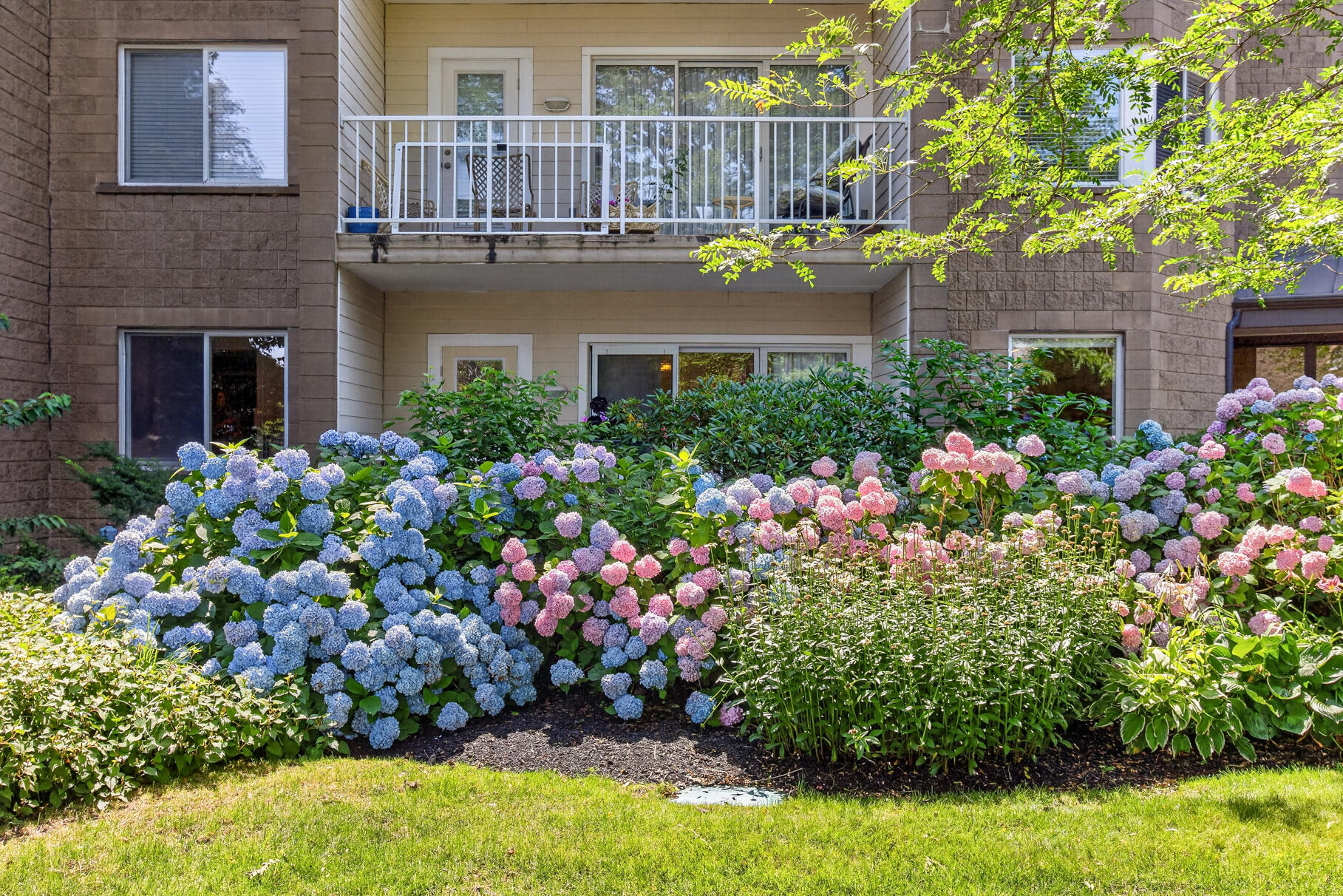 1 Belmont Road West Harwich MA 02671