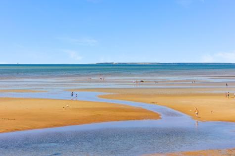 261 Linnell Landing Road Brewster MA 02631