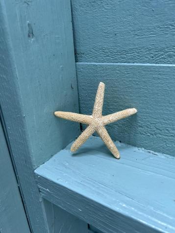 262 Old Wharf Road Dennis MA 02639