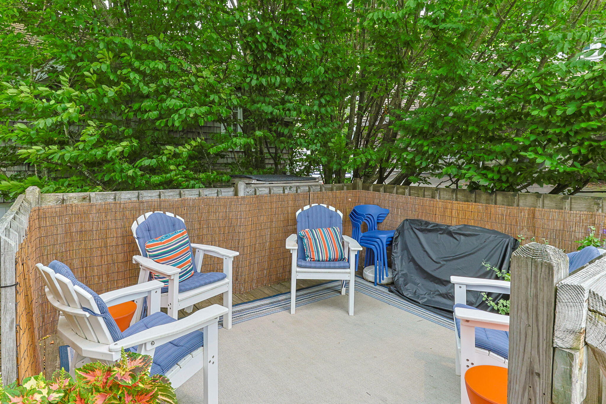 15 Court Street Provincetown MA 02657