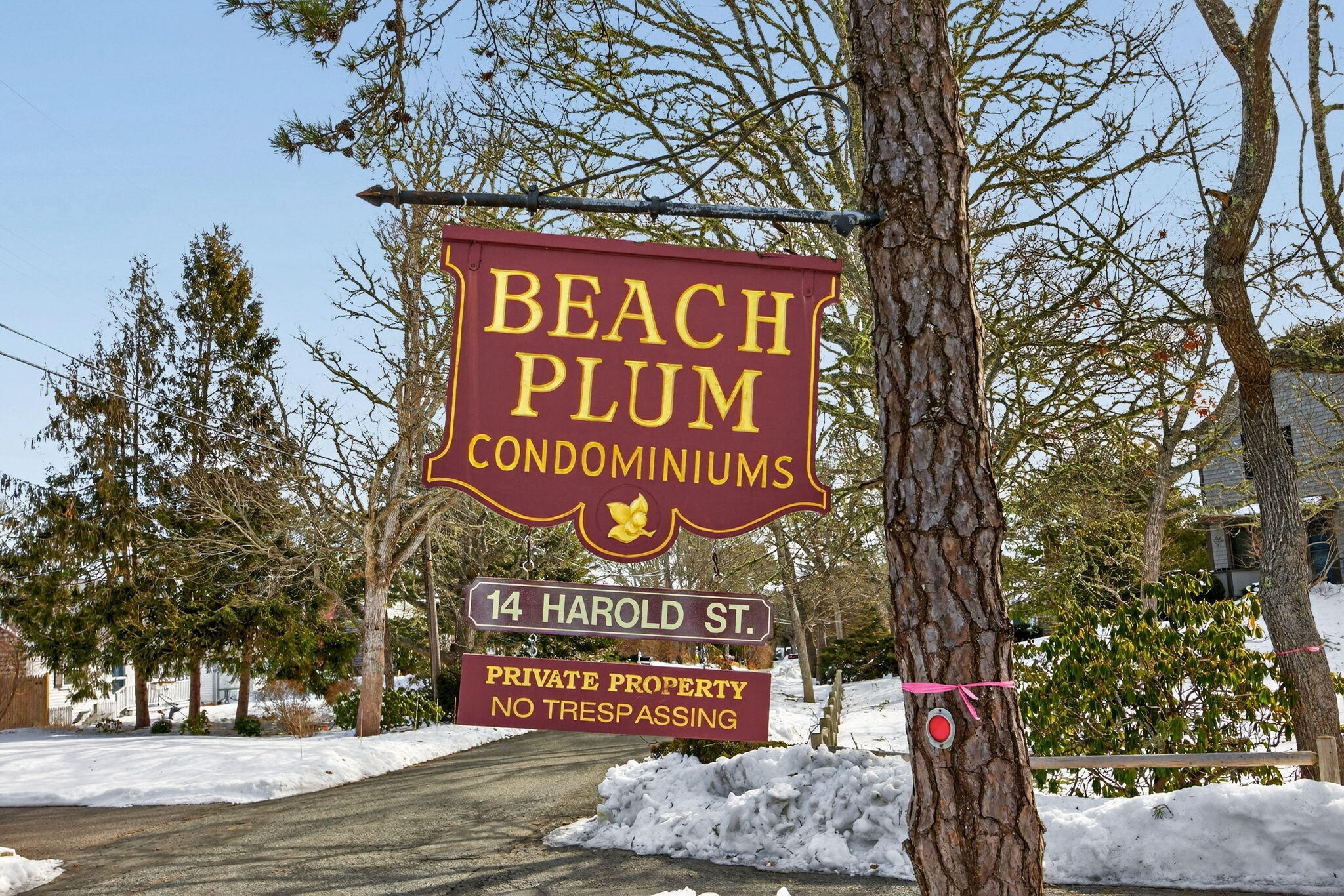 14 Harold Street, Unit Apt 14e