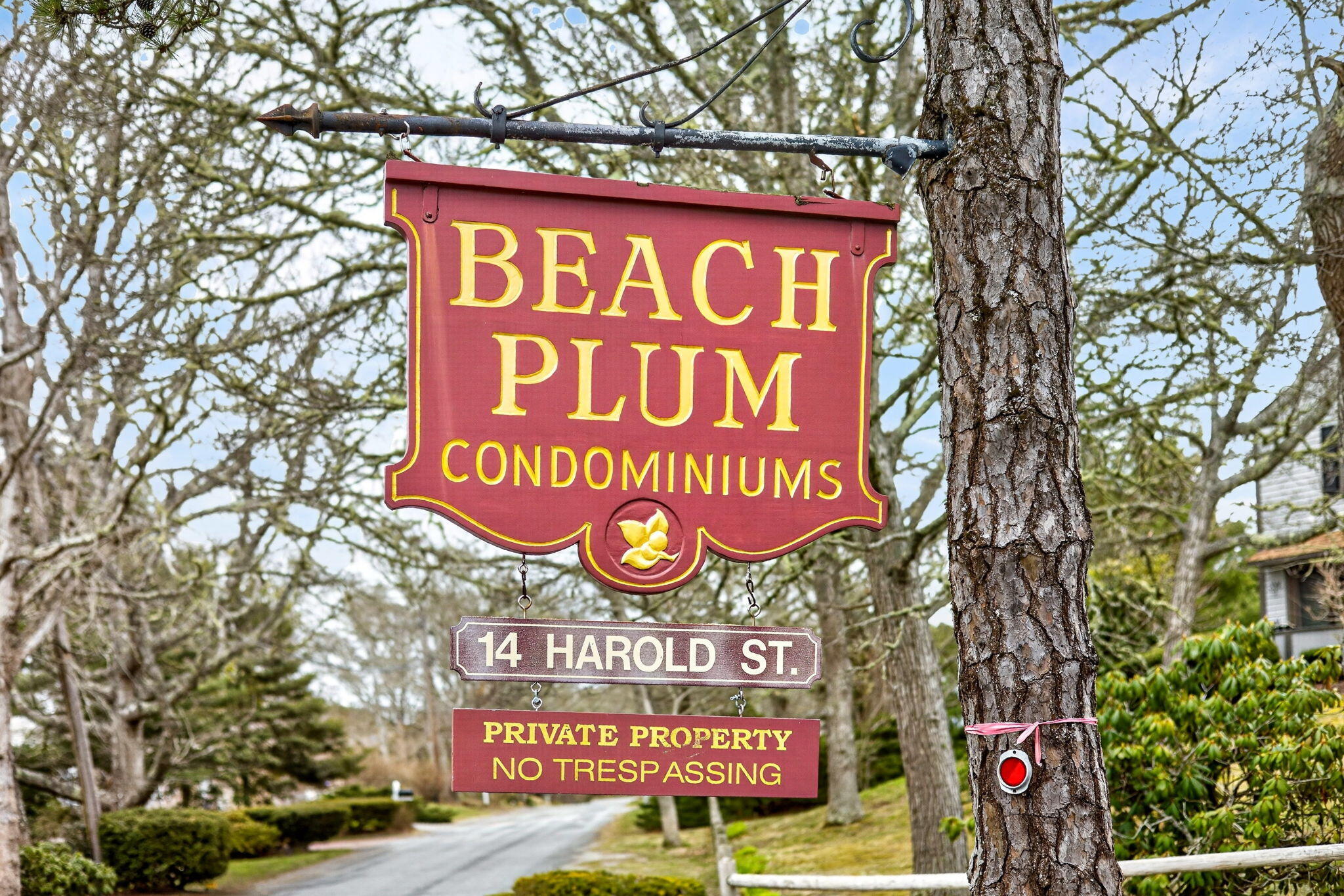 14 Harold Street Harwich MA 02646