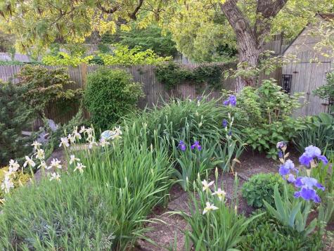 240 Bradford Street Provincetown MA 02657