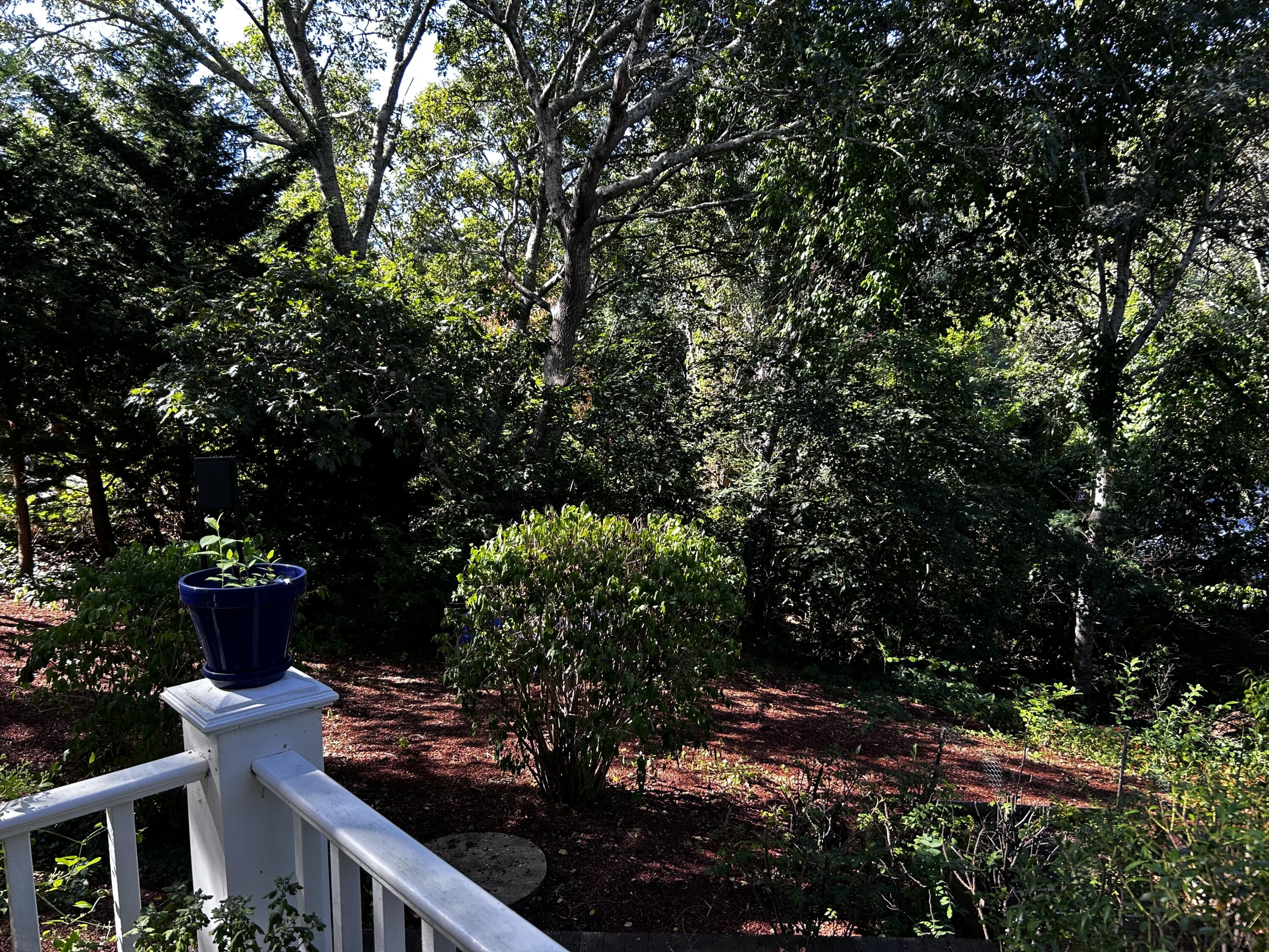 31 Miller Hill Road Provincetown MA 02657