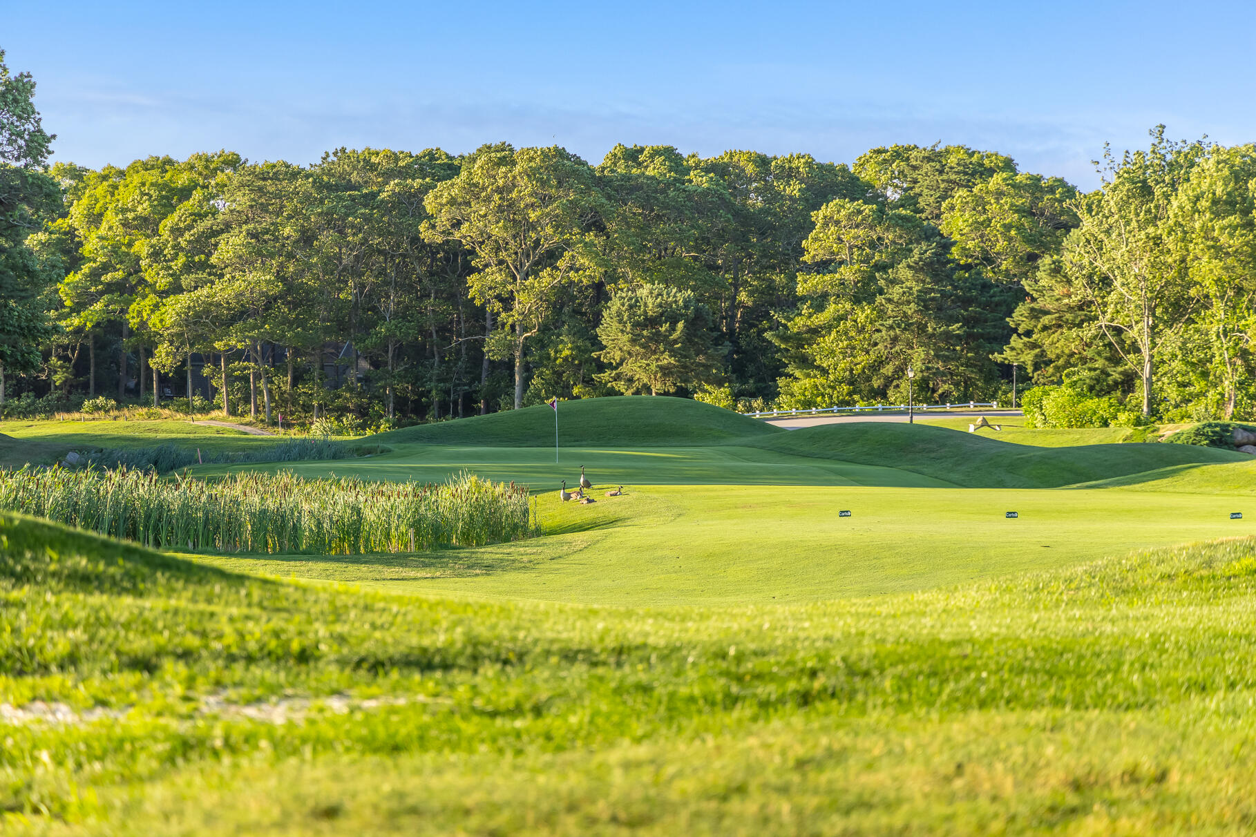 9 Holly Hock Knoll Court Bourne MA 02532