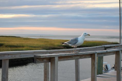 248 Camp Street Yarmouth MA 02673