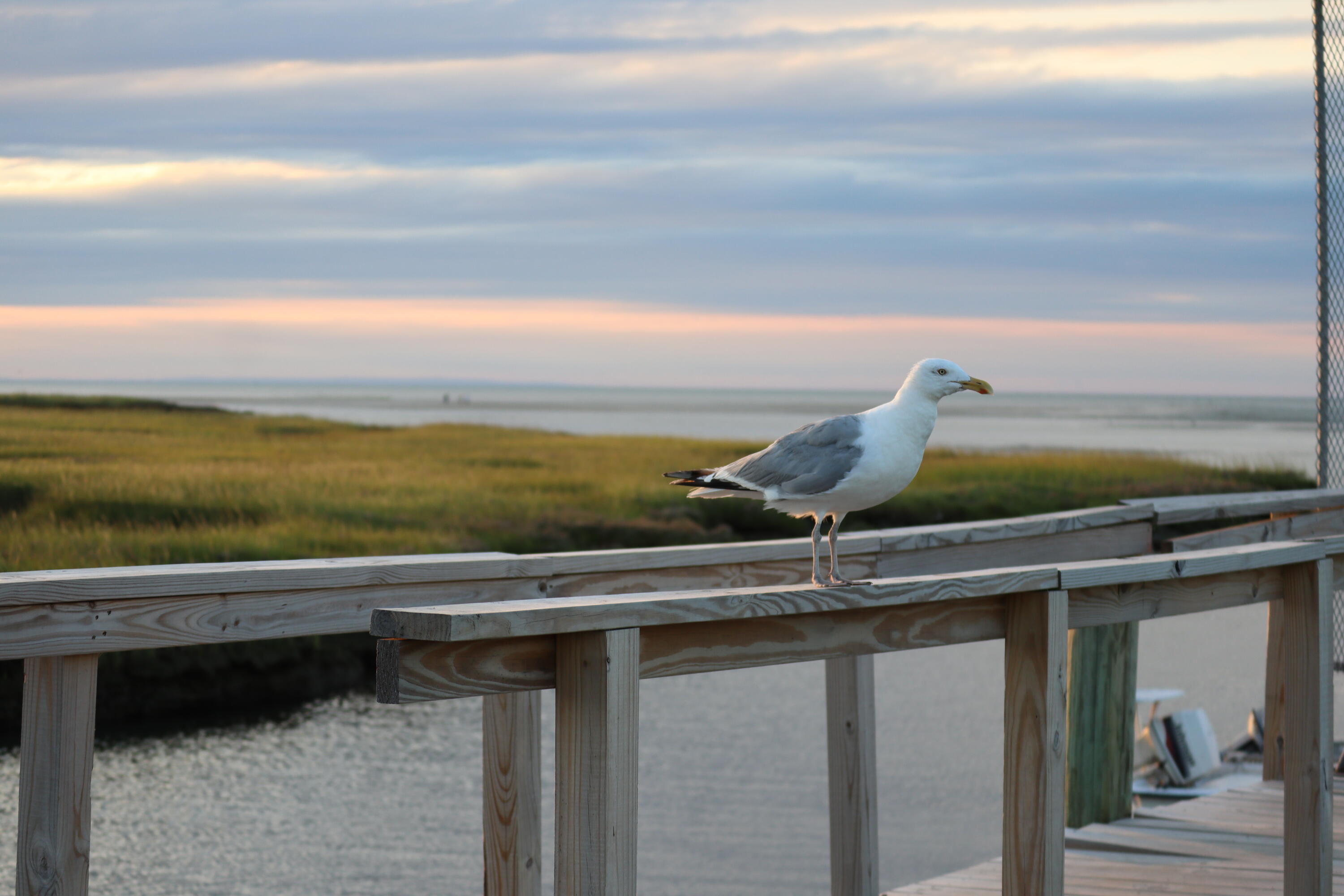 248 Camp Street Yarmouth MA 02673