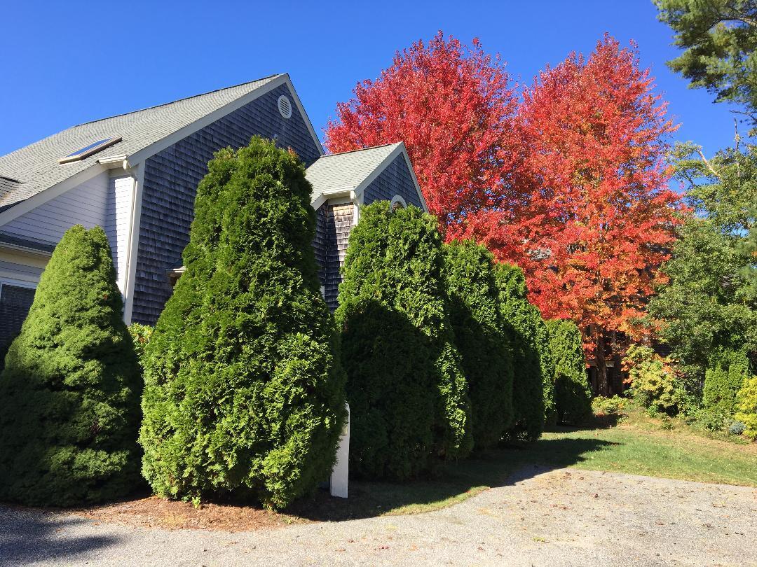 75 Blue Spruce Way Mashpee MA 02649