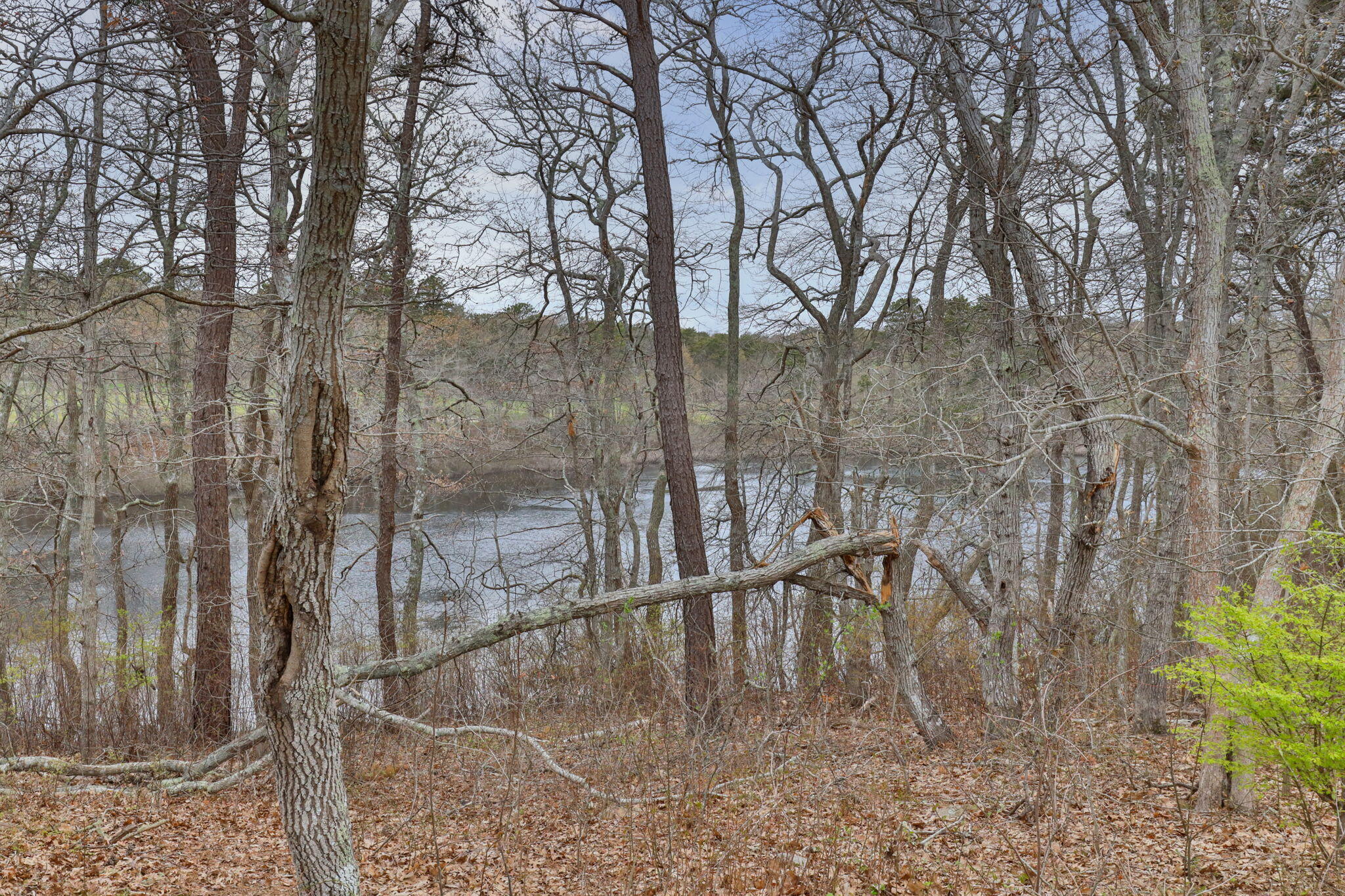 77 Chilton Lane Brewster MA 02631