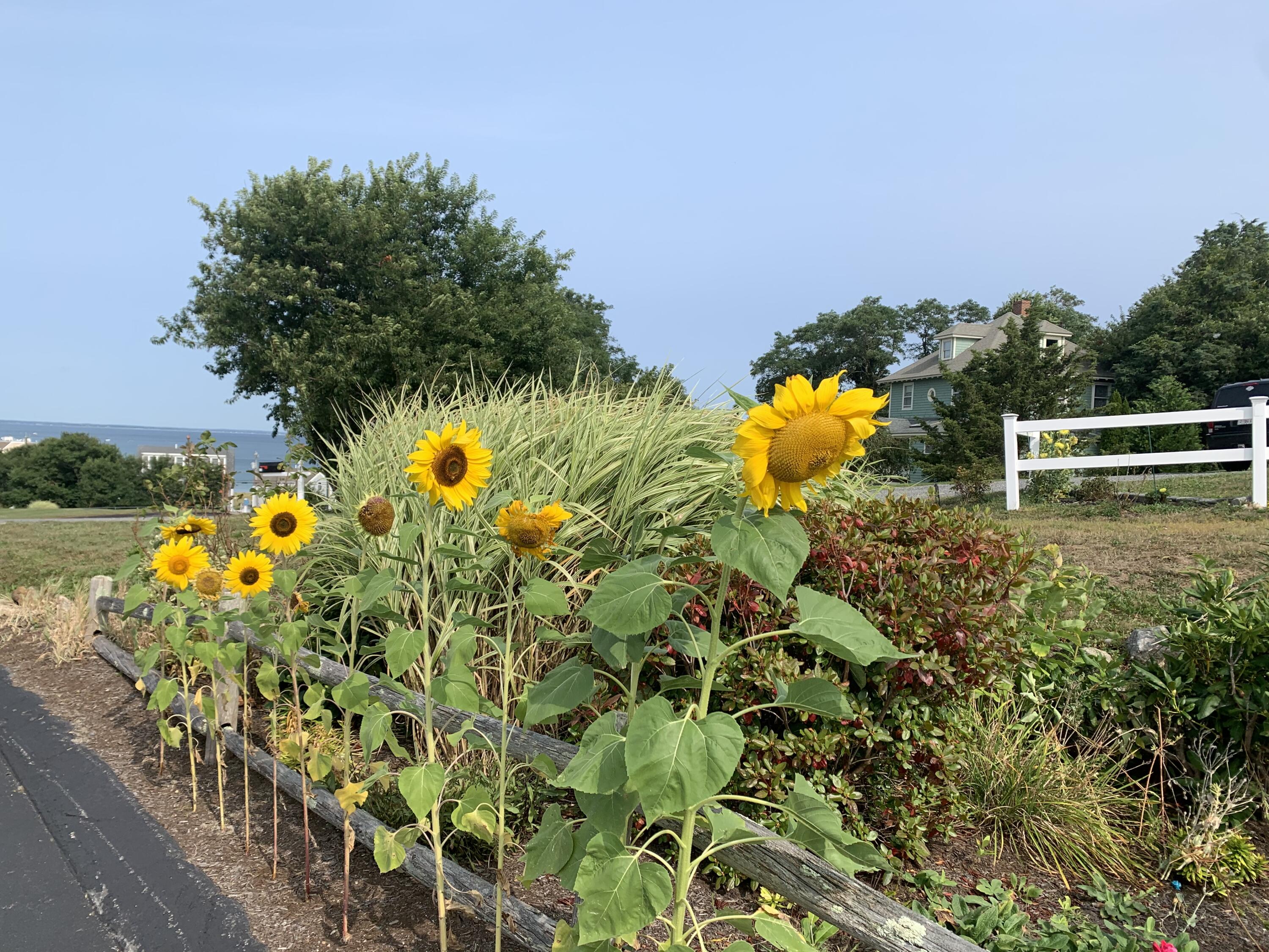 24 Highland Terrace Plymouth MA 02360