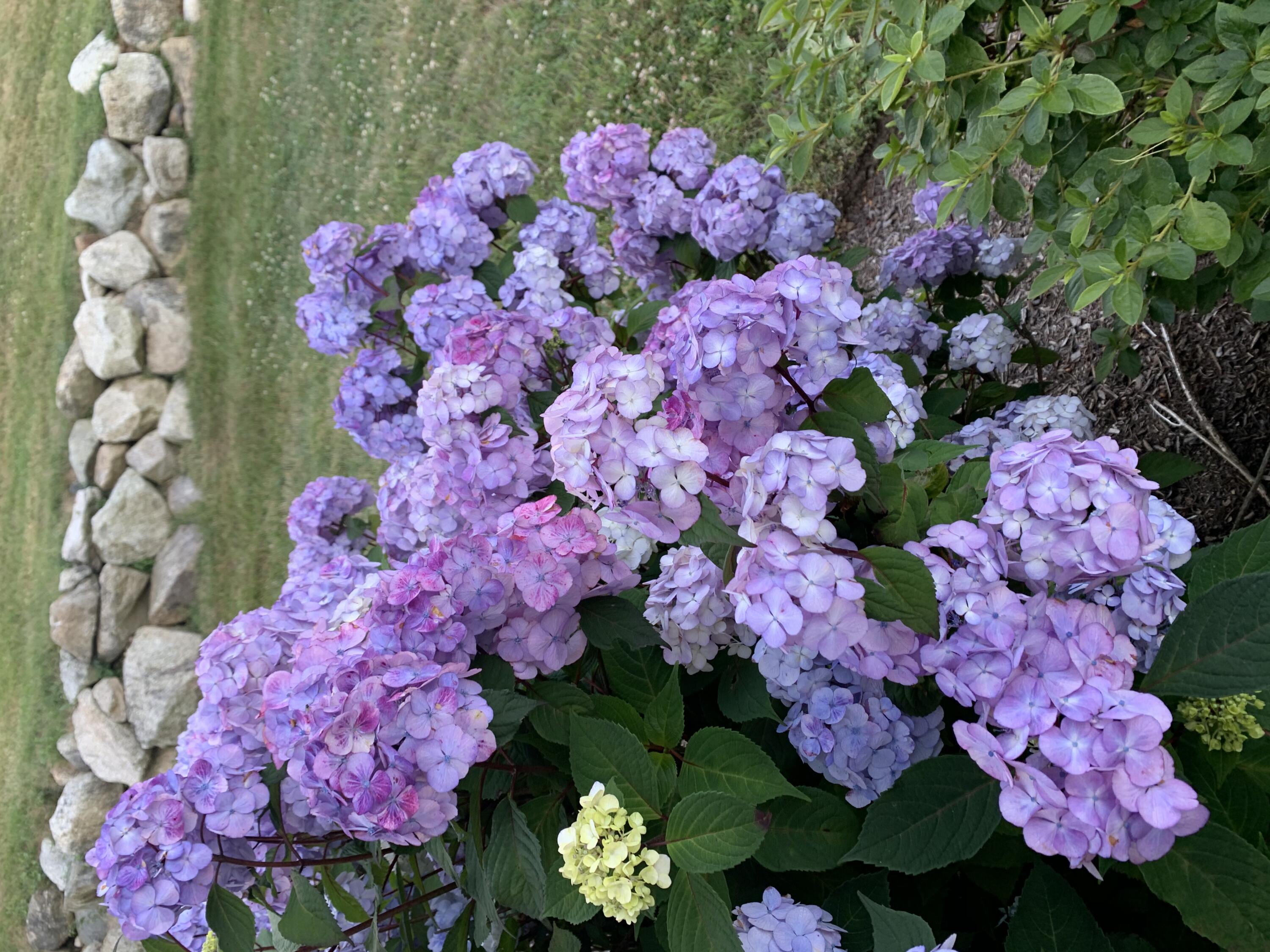 24 Highland Terrace Plymouth MA 02360