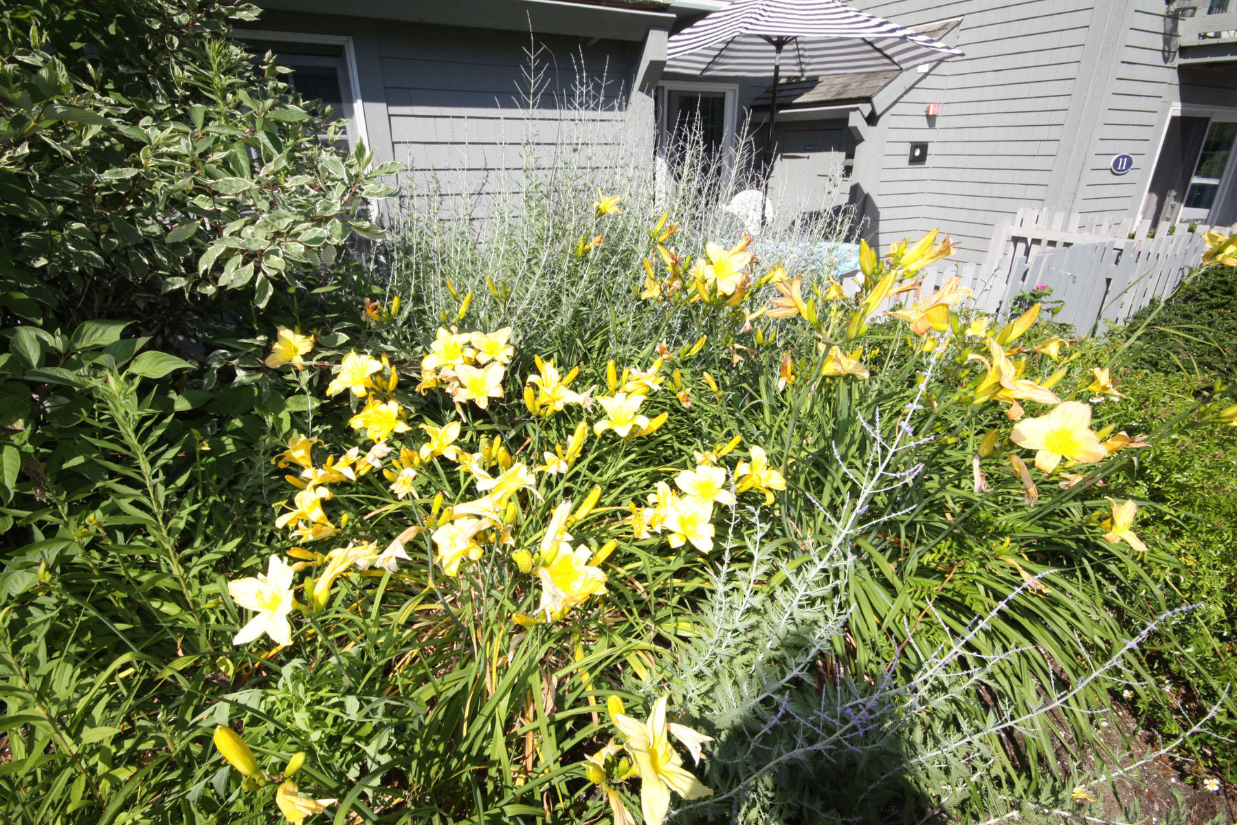 15 Hyannis Point Road Mashpee MA 02649