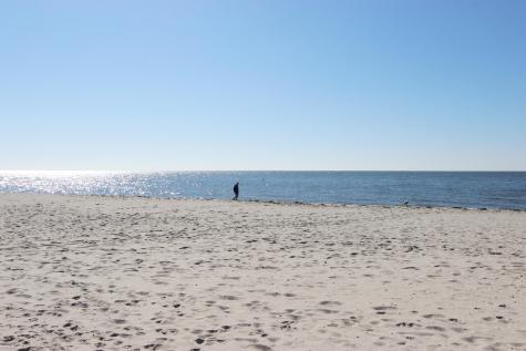 42 Old Colony Way Orleans MA 02653