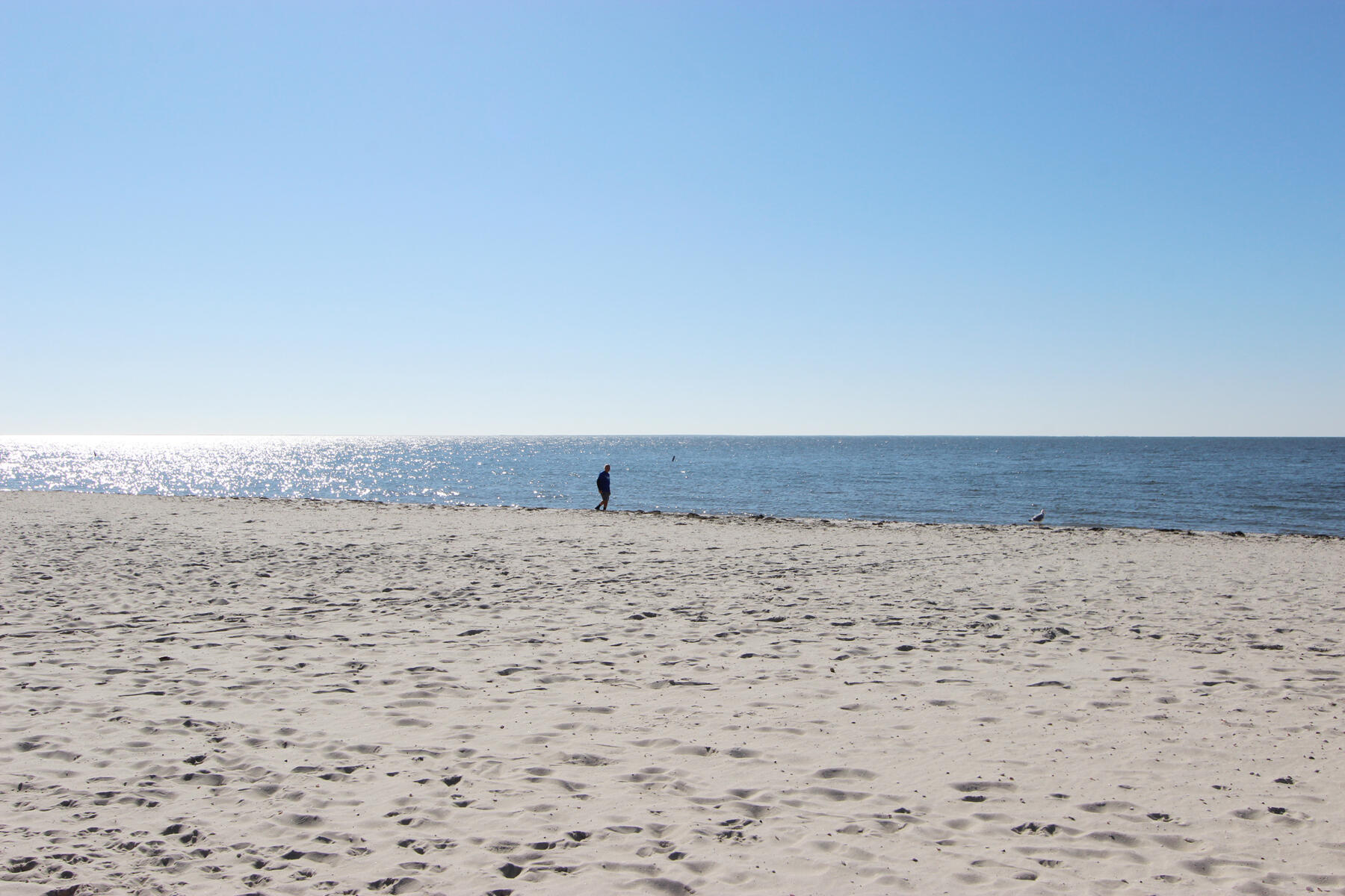 42 Old Colony Way Orleans MA 02653