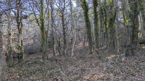 82 Old Orchard Road Eastham MA 02642