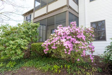 14 Harold Street Harwich MA 02646