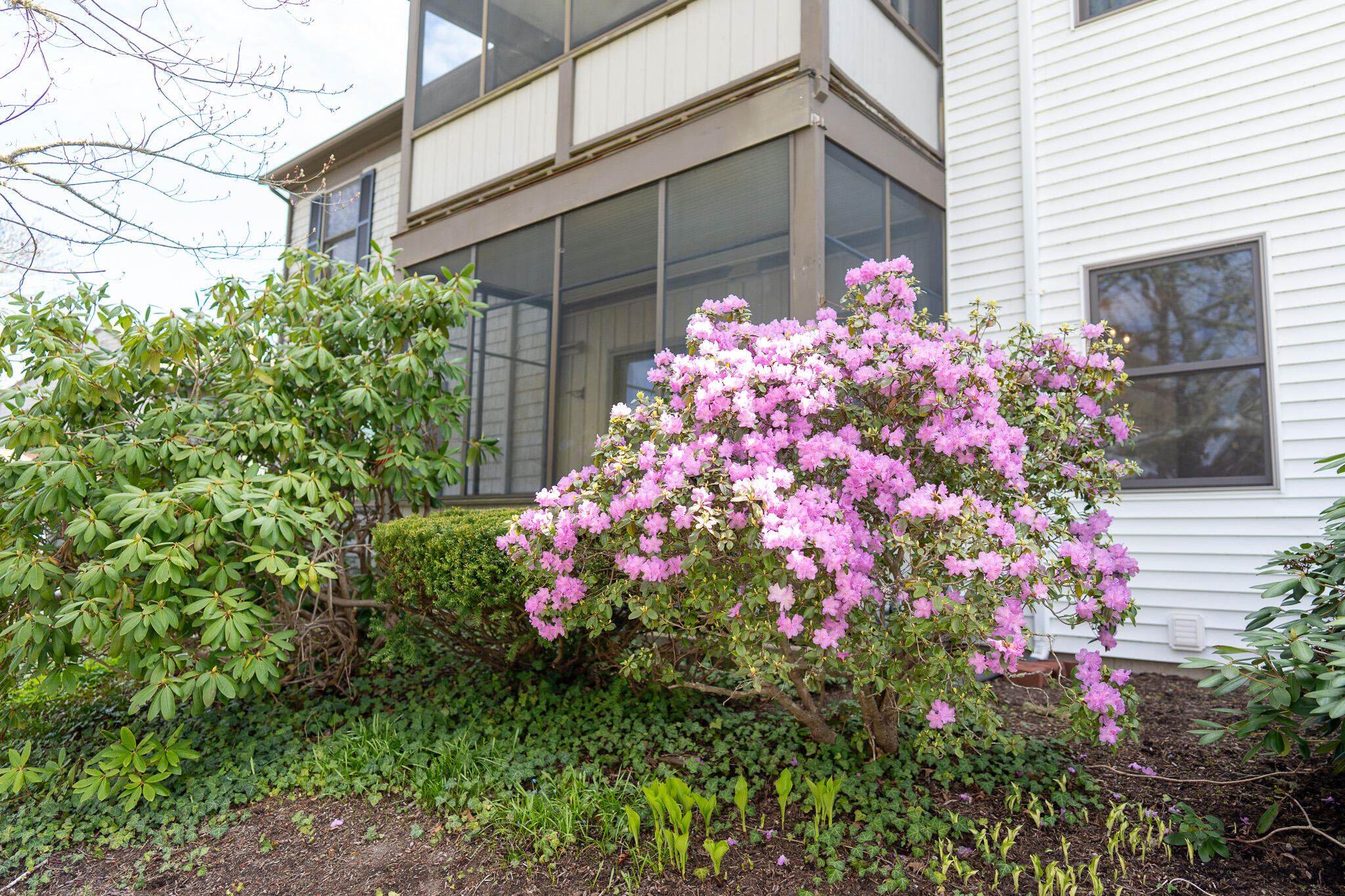 14 Harold Street Harwich MA 02646