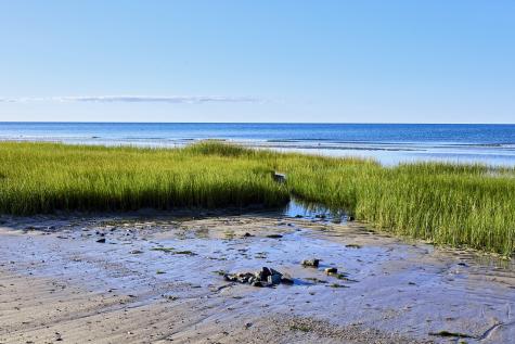 63 Trevor Lane Brewster MA 02631