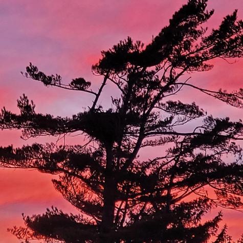 12 Hideaway Road Buzzards Bay MA 02532