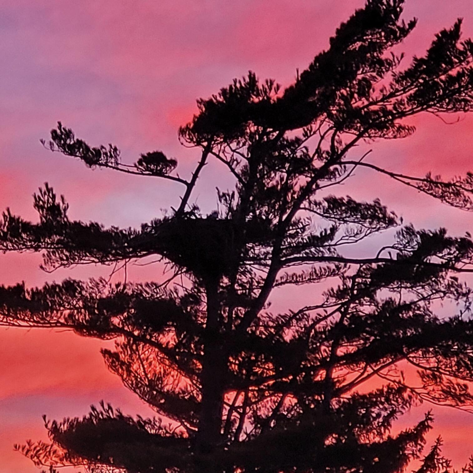 12 Hideaway Road Buzzards Bay MA 02532