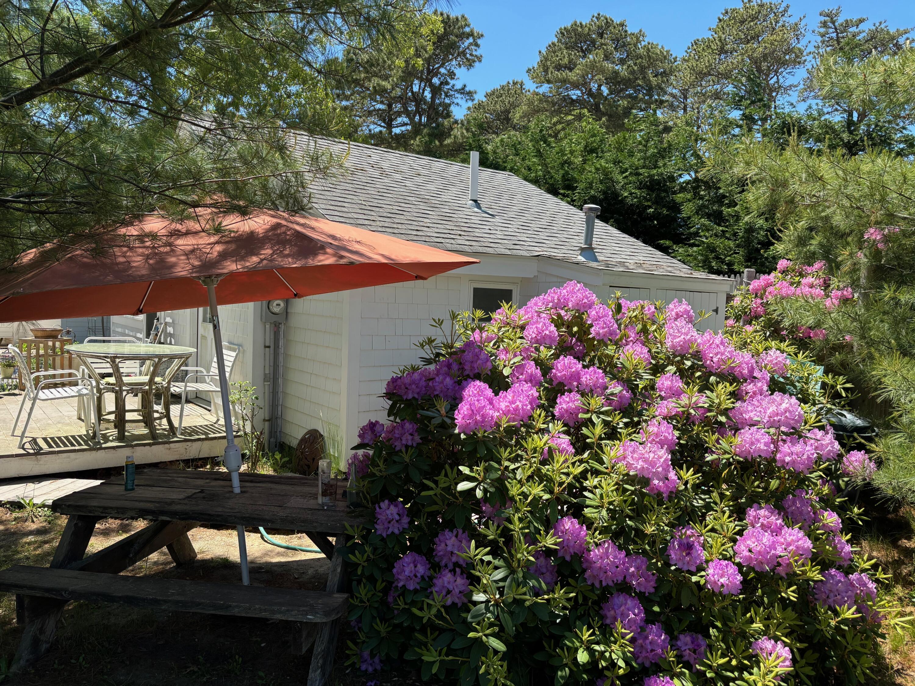 1937 State Highway Route 6 Wellfleet MA 02667