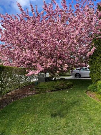 121 Camp Street Yarmouth MA 02673