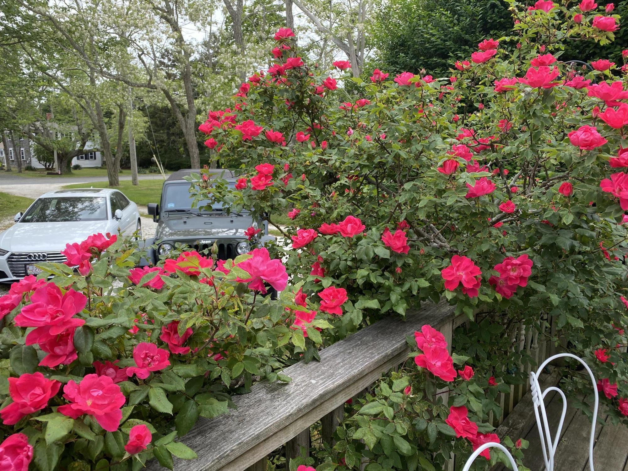 17 Shore Road, Unit 9, Truro MA photo 5