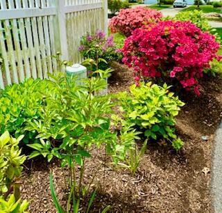 13 Hollyhock Knoll Court Bourne MA 02532
