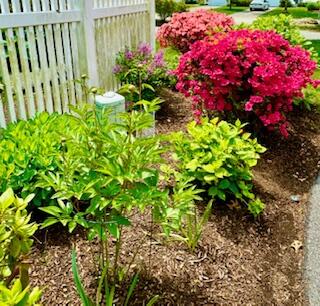 13 Hollyhock Knoll Court Bourne MA 02532