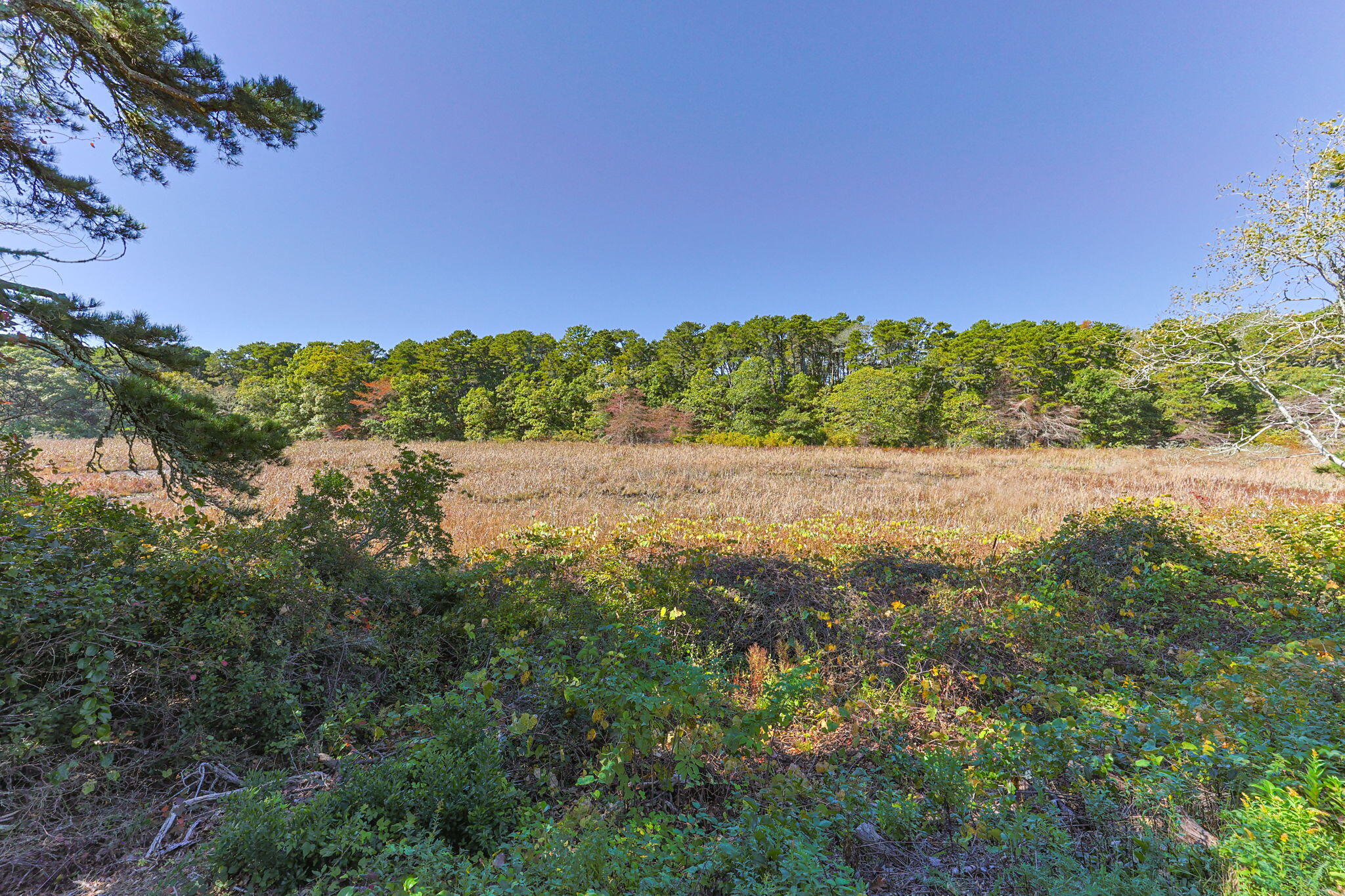 109 Misty Meadow Lane Chatham MA 02633