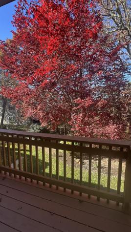 300 Buck Island Road Yarmouth MA 02673