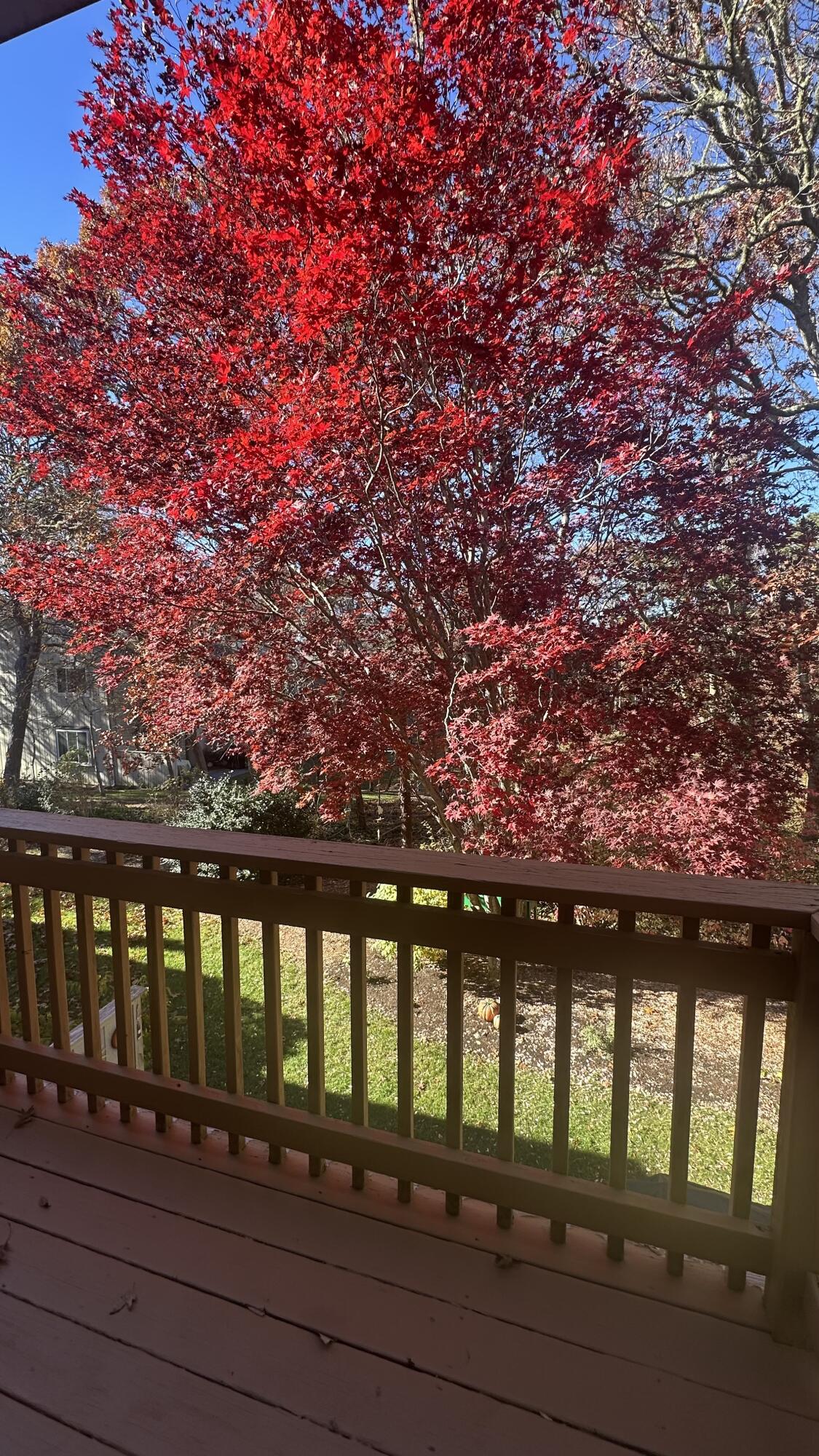 300 Buck Island Road Yarmouth MA 02673