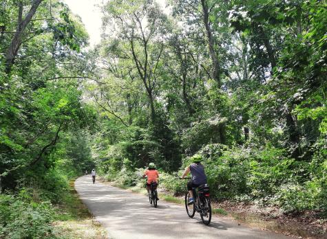 20 Freedom Trail Orleans MA 02653
