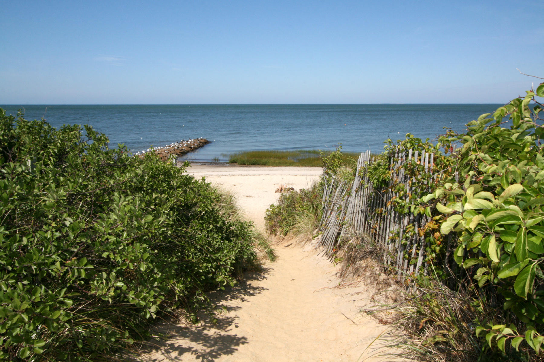 249 Fletcher Lane Brewster MA 02631