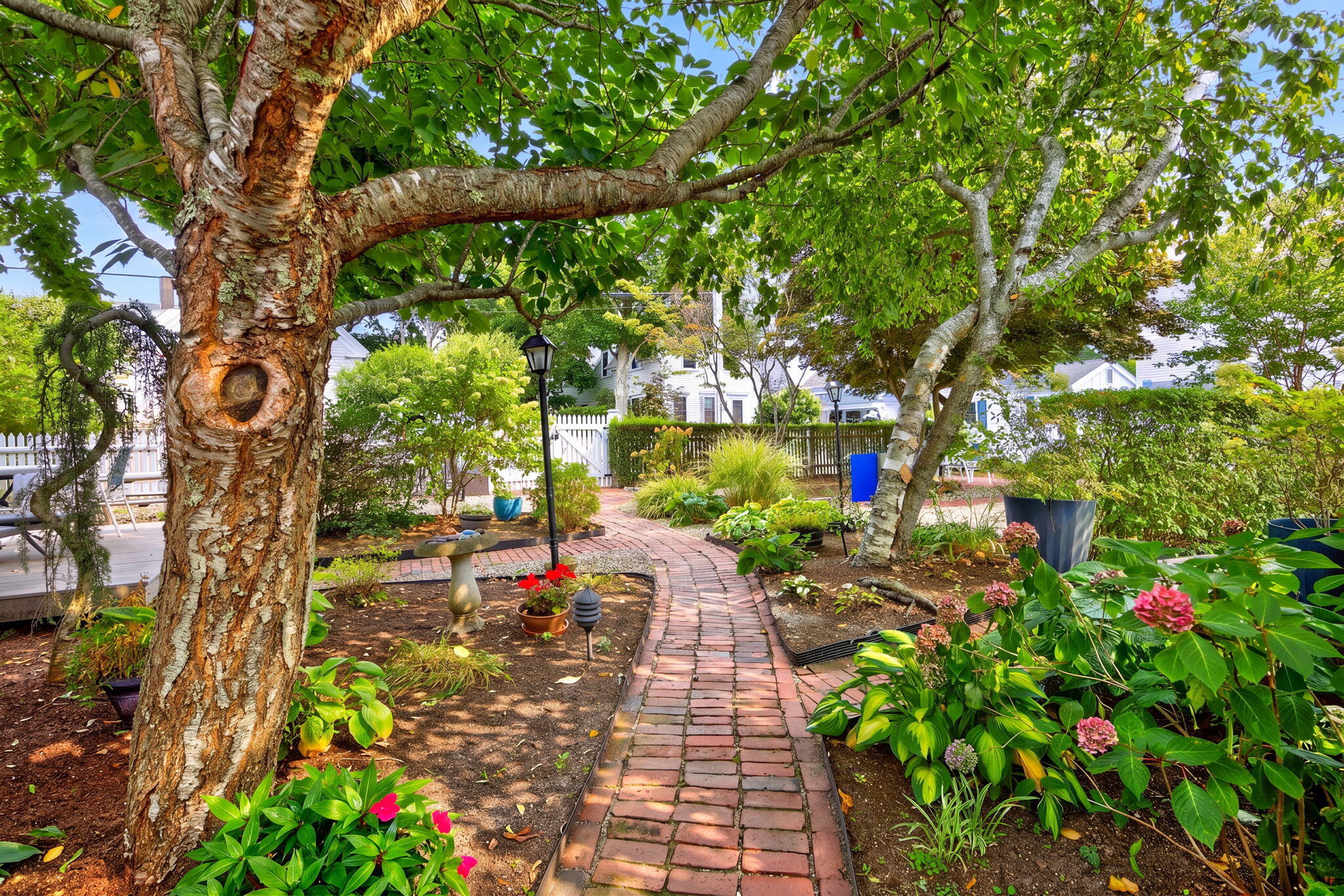 15 Cottage Street Provincetown MA 02657